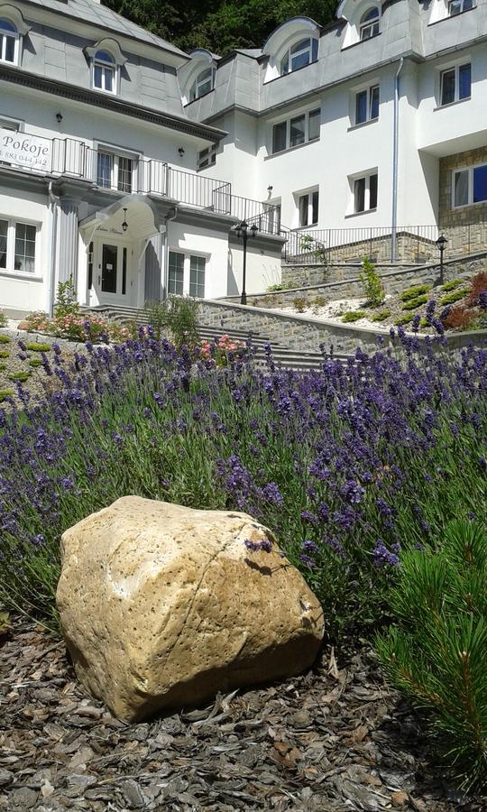 Lesna Polana- Blisko Centrum, Mini Spa, Cicha, Spokojna Okolica, Parking Gratis Криниця-Здруй Екстер'єр фото